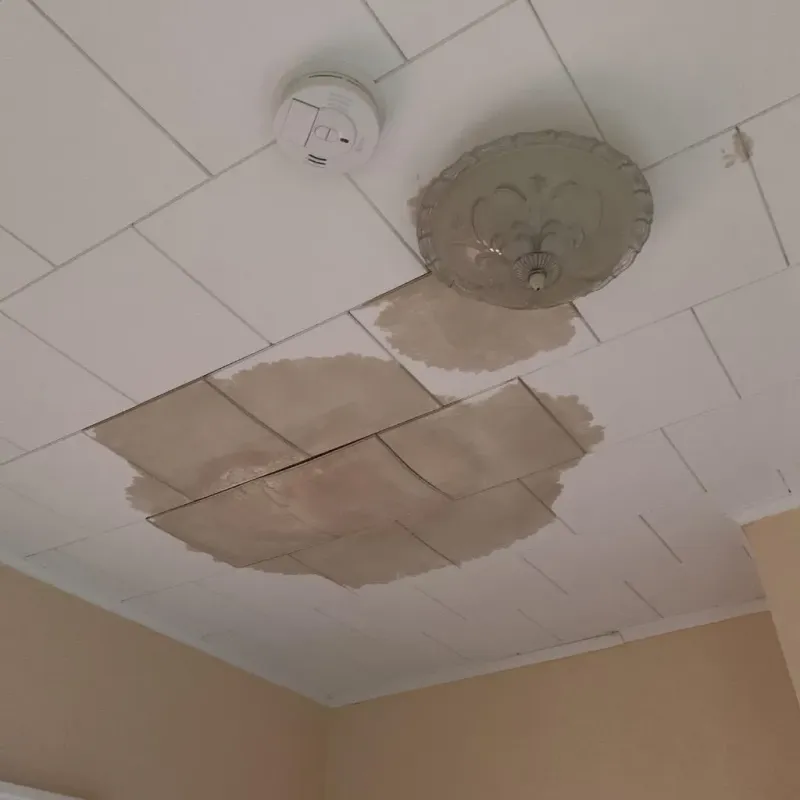 Ceiling Water Damage Repair in McCook, NE