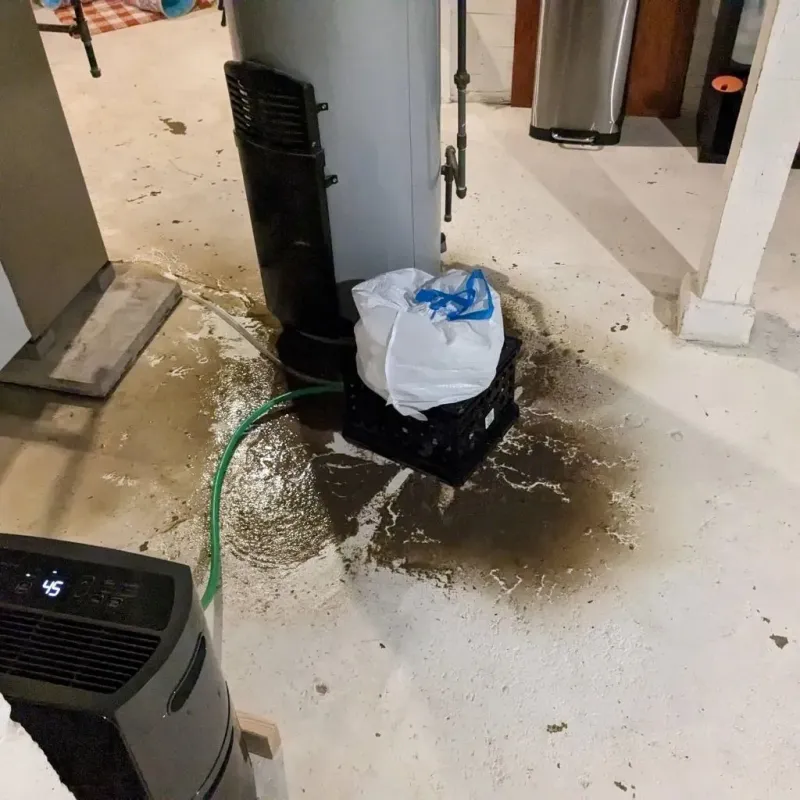 Sewage Backup Cleanup Service in McCook, NE